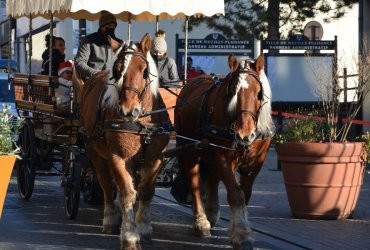 neuilly-plaisance-animation-de-noel-samedi-18-decembre-2021 27